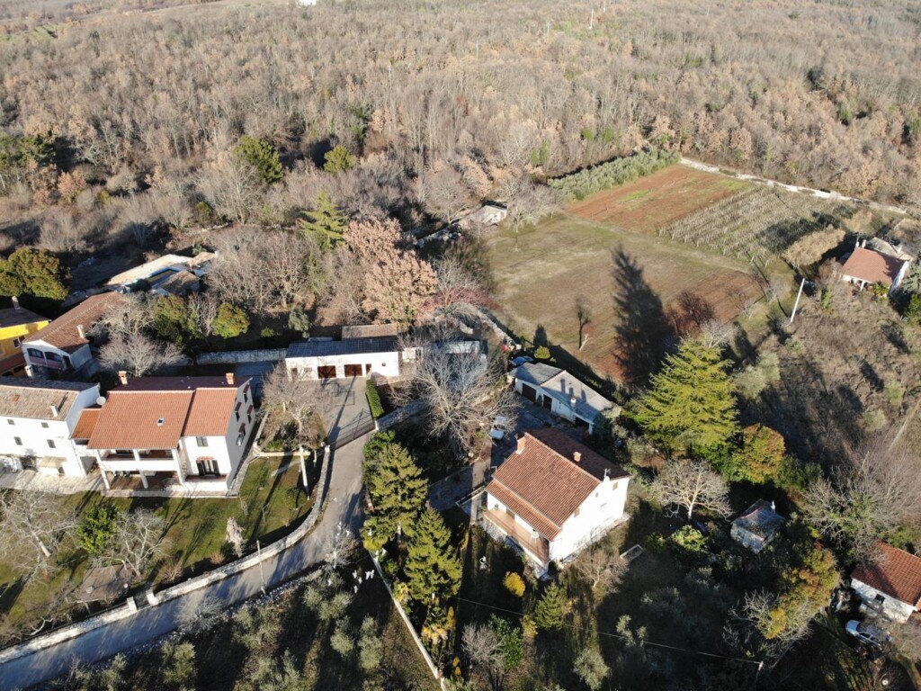 Image 5430416 - 2