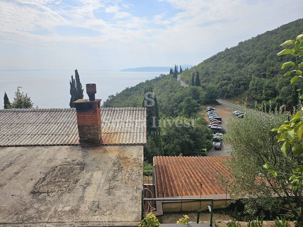Image 13