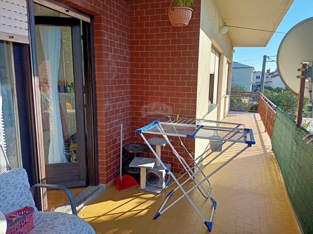 Image 15