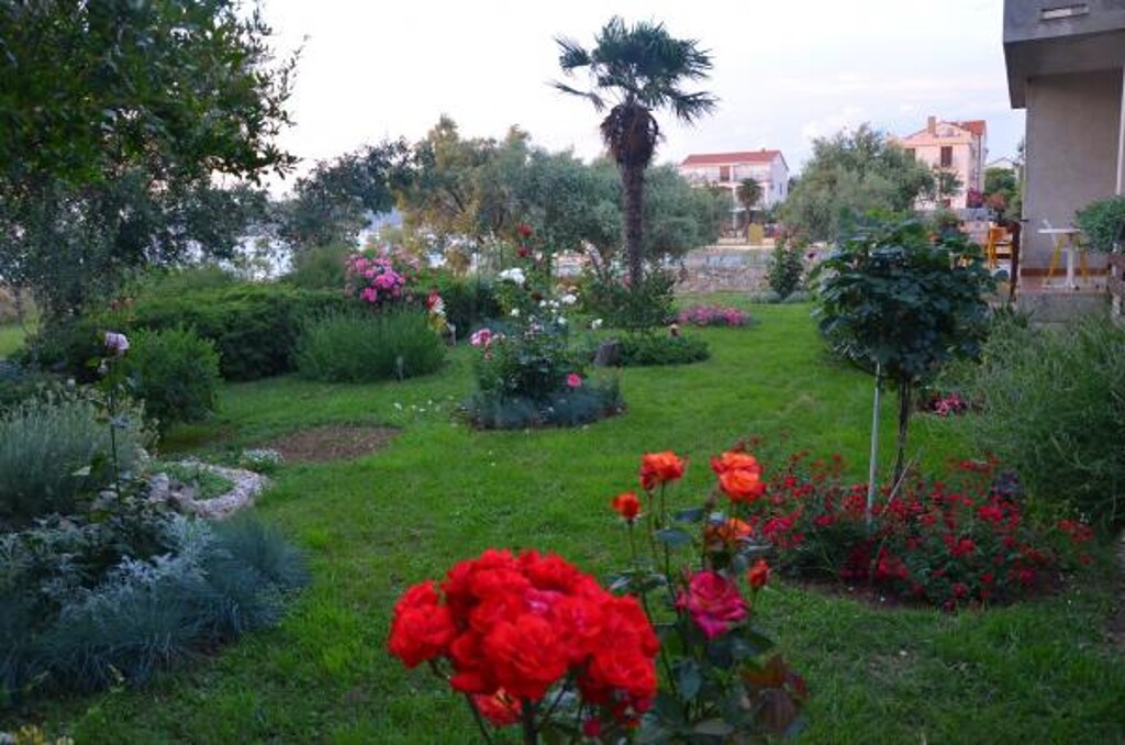 Image 3811270 - 22