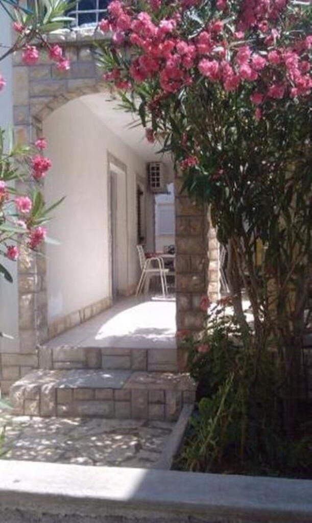 Image 3813442 - 1