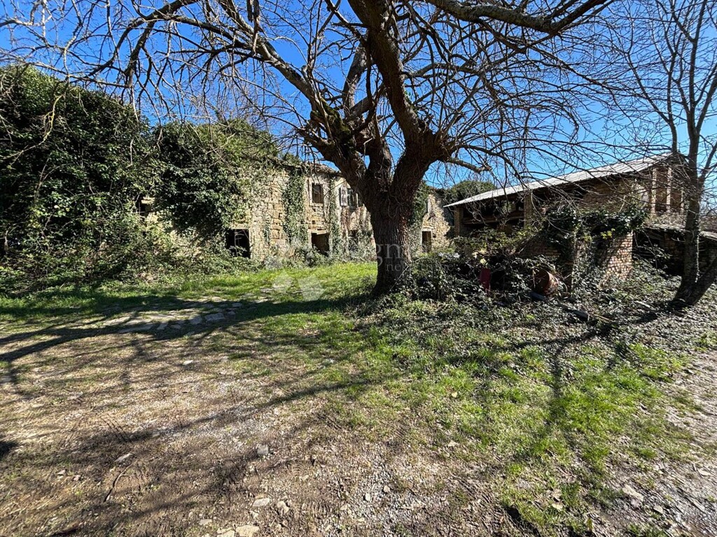 Image 18