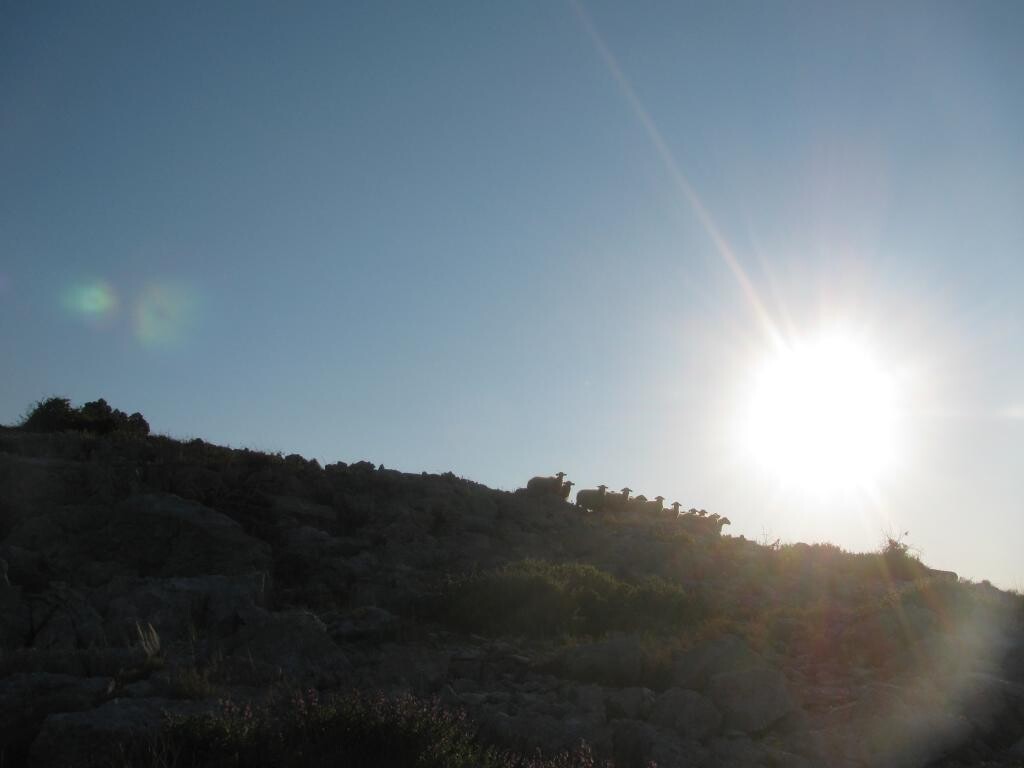 Image 30