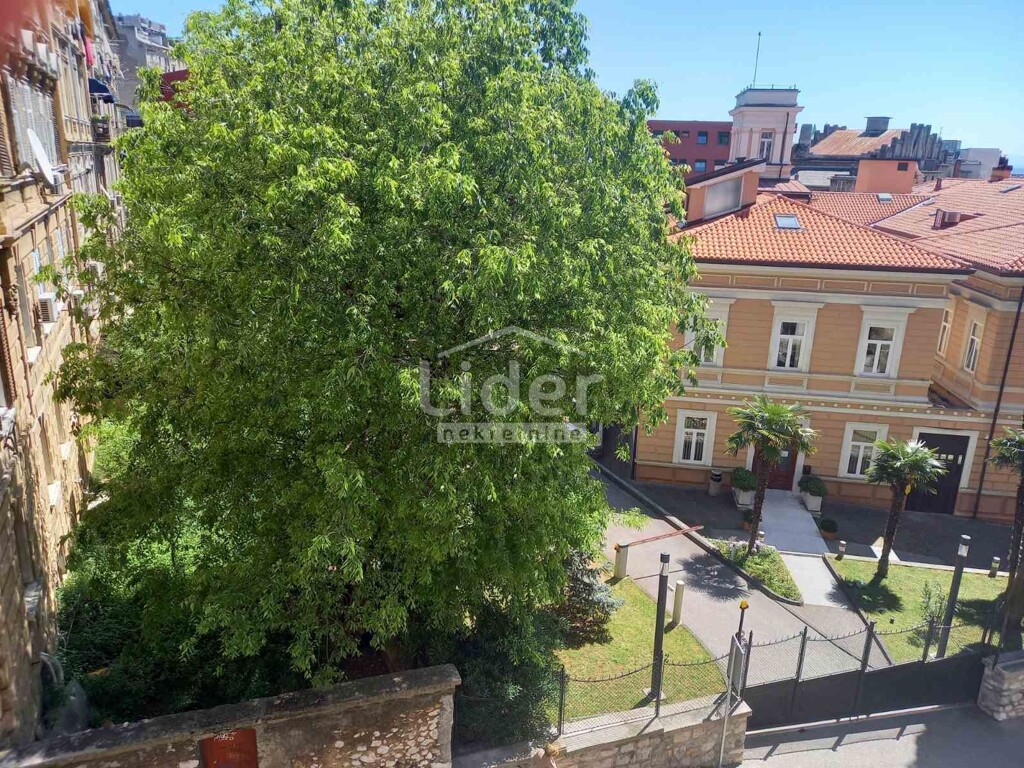 Image 13