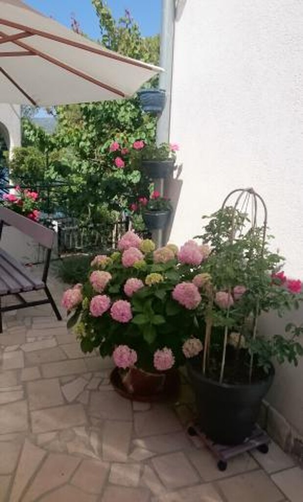 Image 3814813 - 9