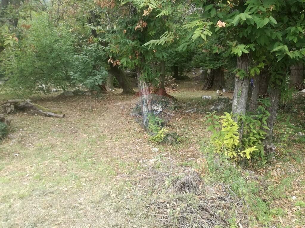 Image 5410190 - 5