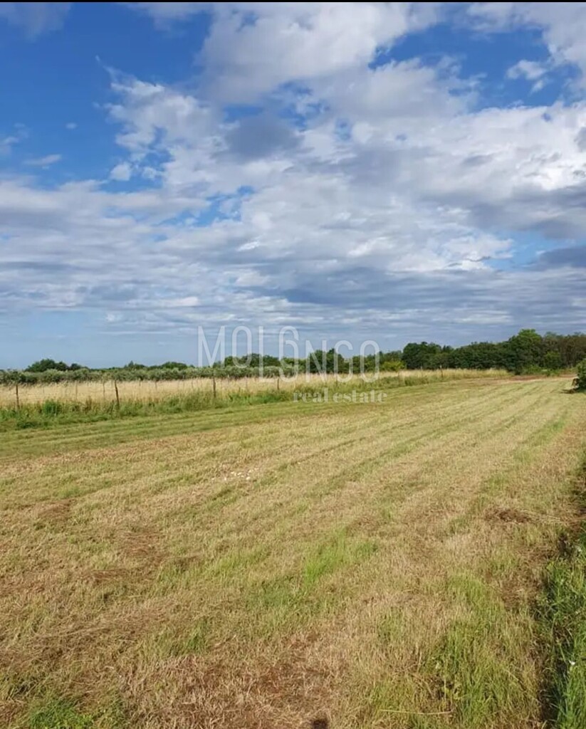Image 6100768 - 2