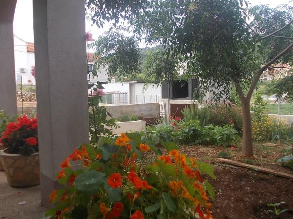 Image 3812119 - 3