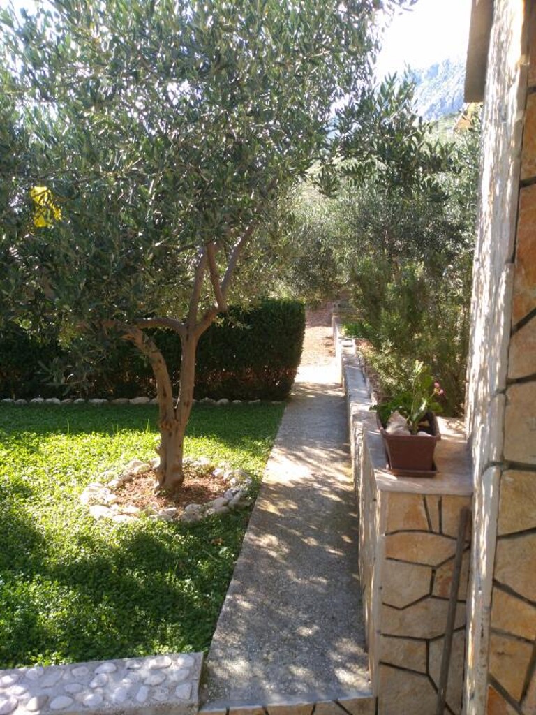 Image 3838713 - 5