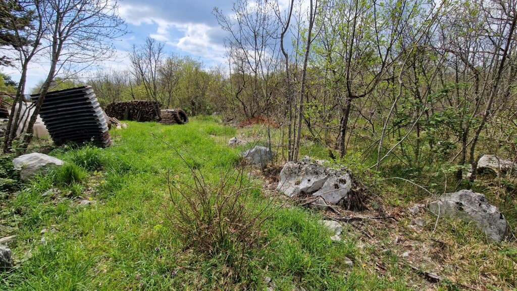 Image 5430035 - 4