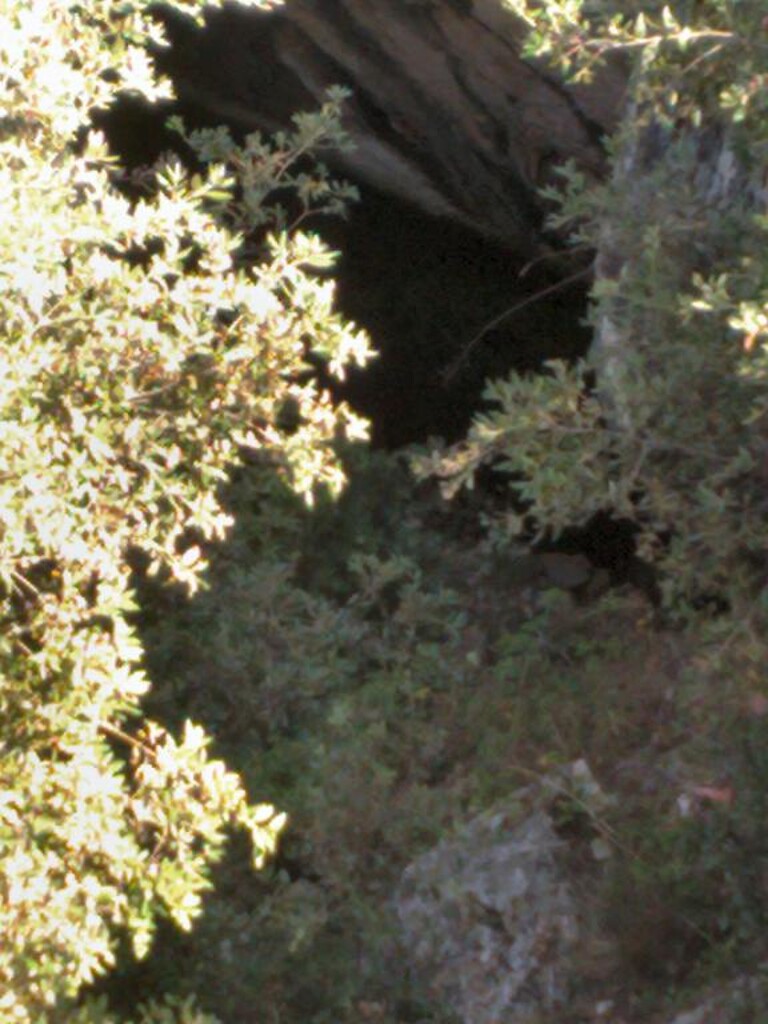 Image 39