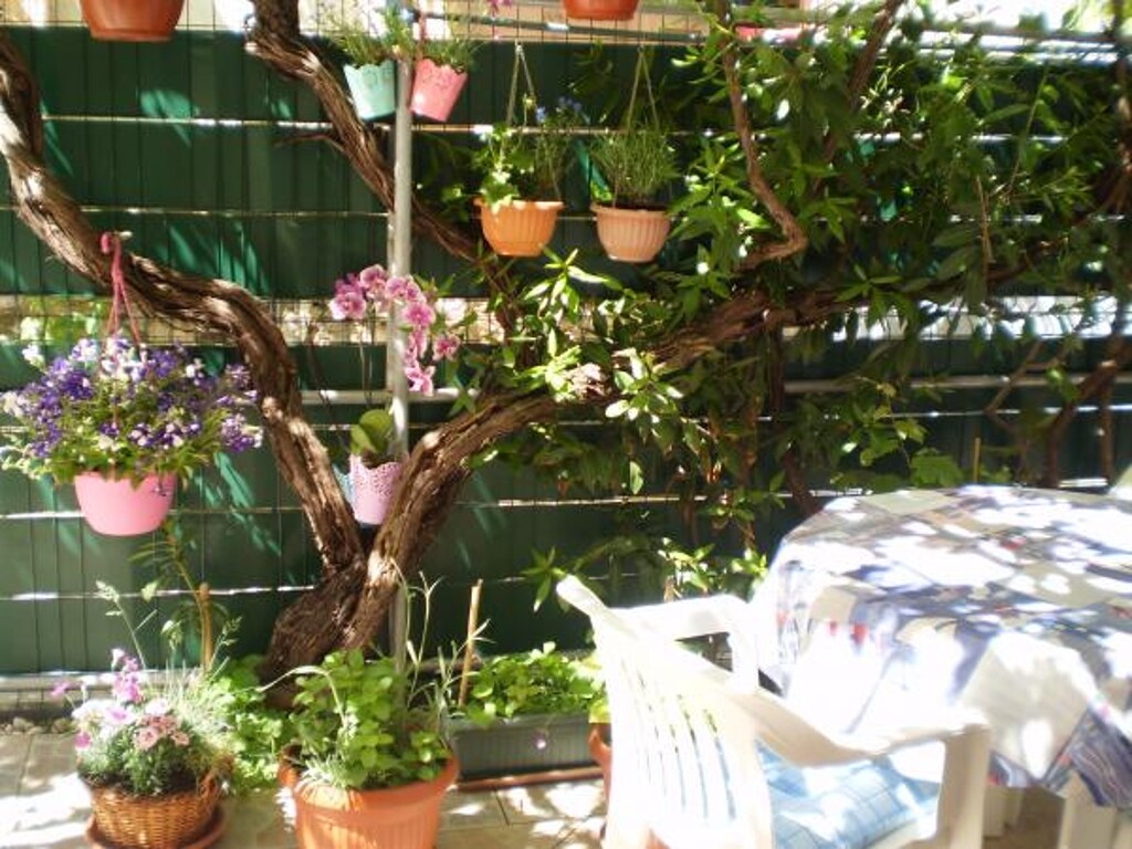 Image 3832193 - 10