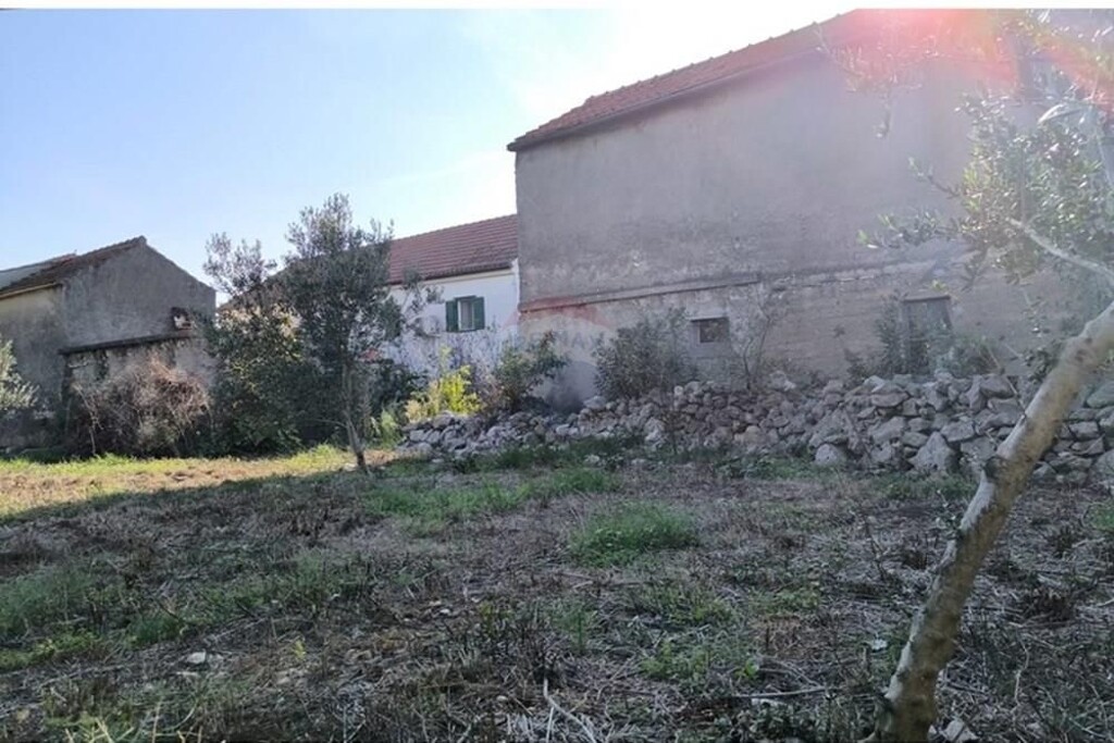 Image 21