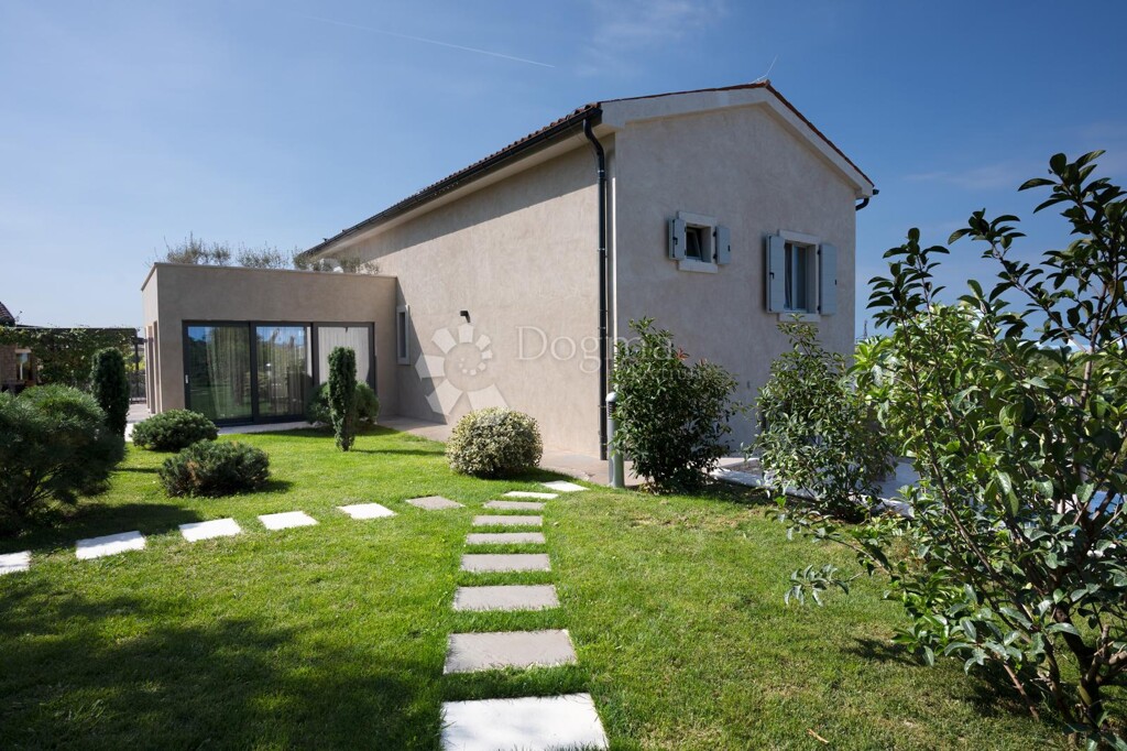 Image 8