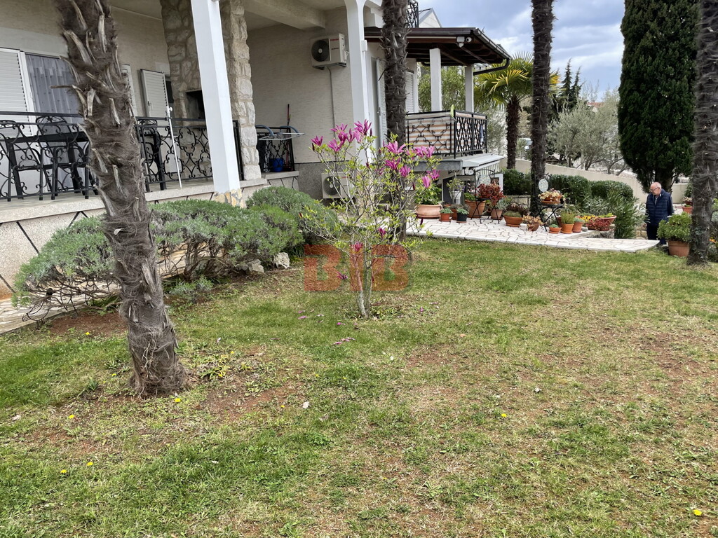 Image 29