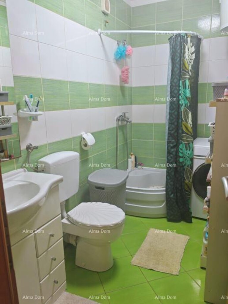 Image 12