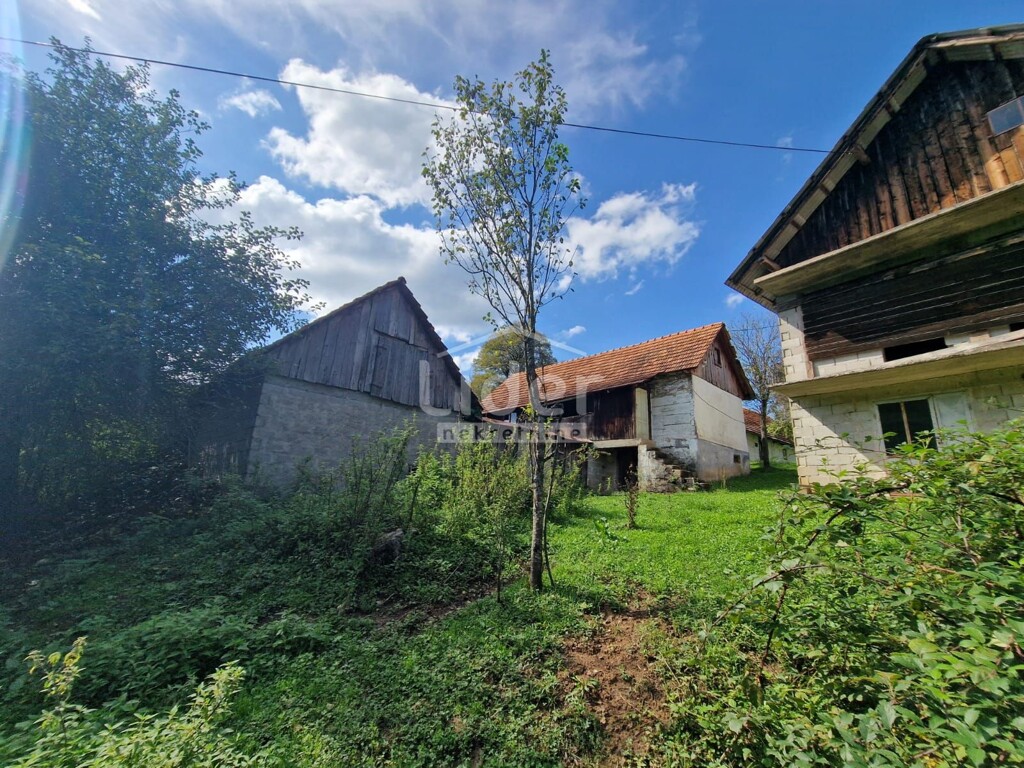Image 6150386 - 6