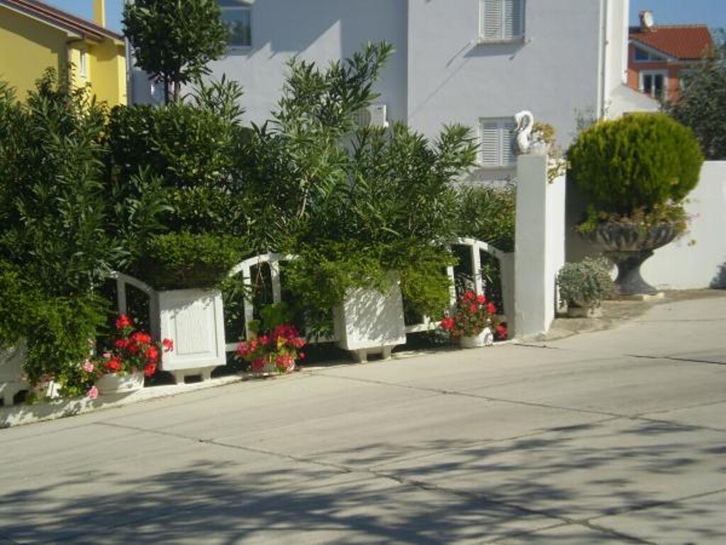 Image 3811502 - 7