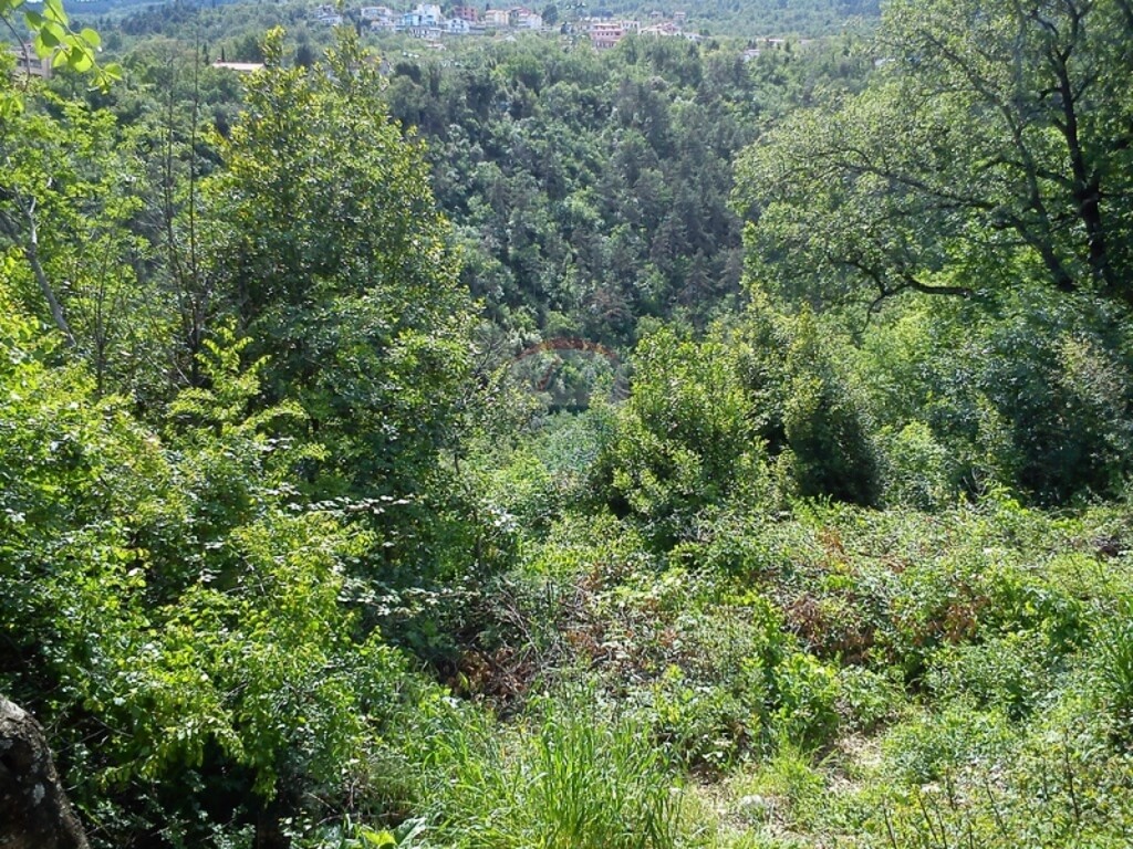 Image 5411037 - 4