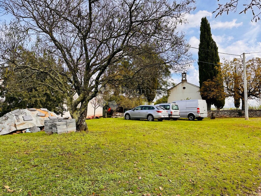 Image 20