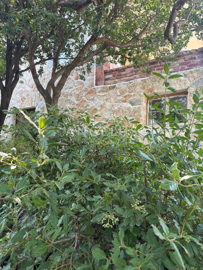 Image 6208414 - 16
