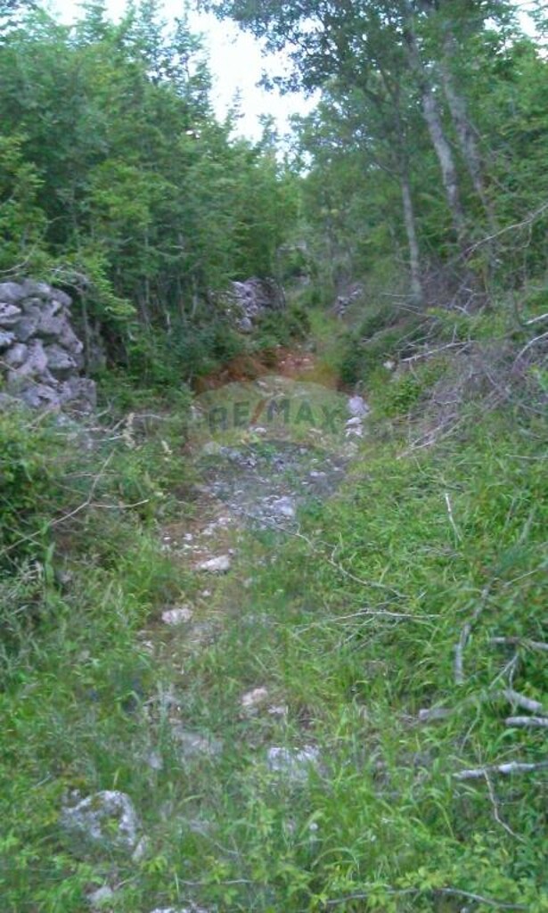 Image 5410865 - 3
