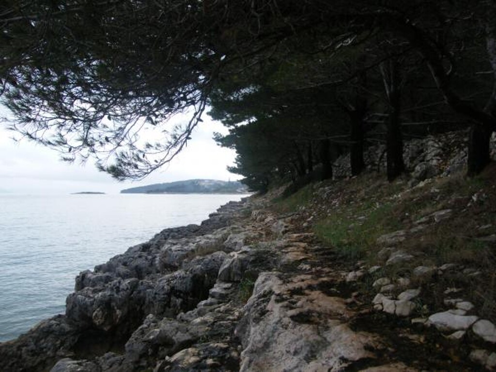 Image 3838753 - 16