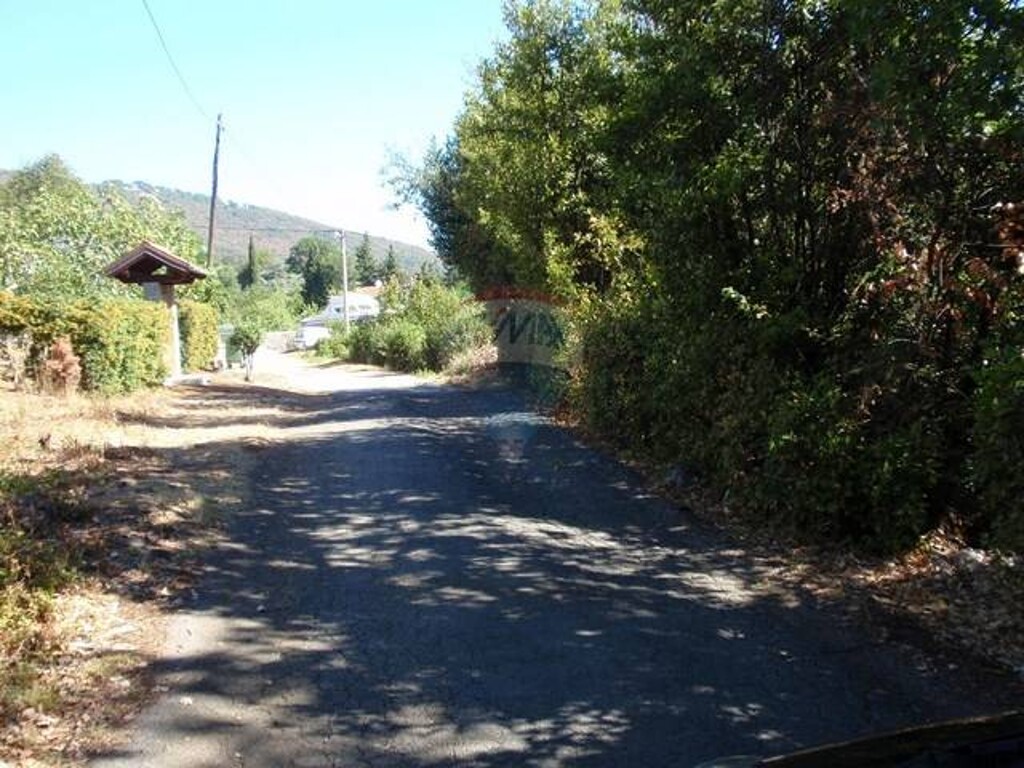 Image 5411285 - 4