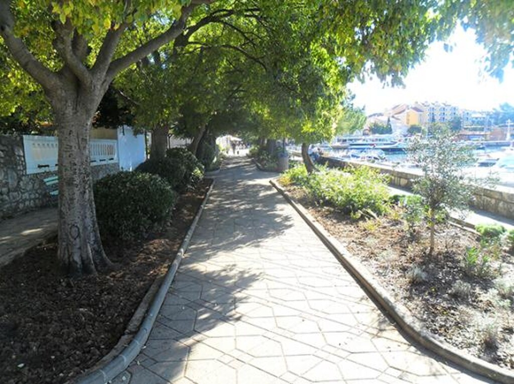 Image 3811615 - 10