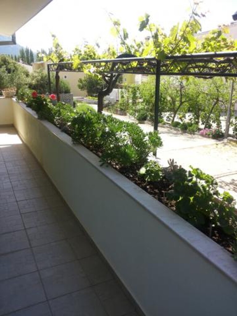 Image 3838824 - 4