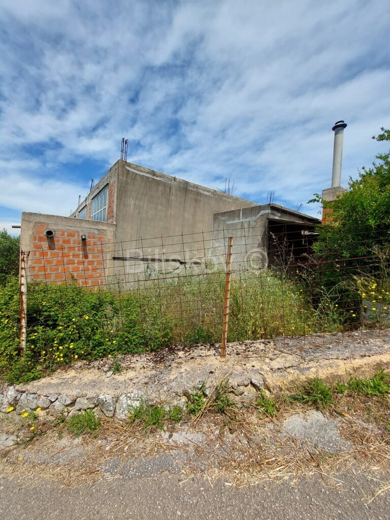 Image 9