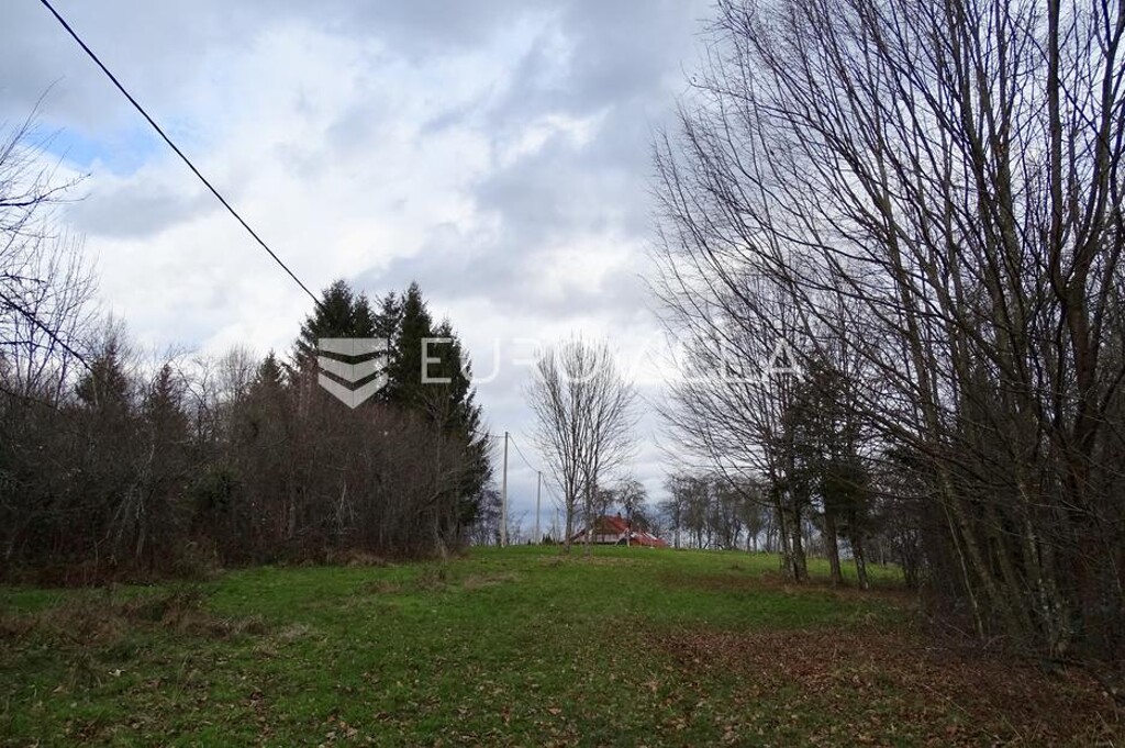 Image 53