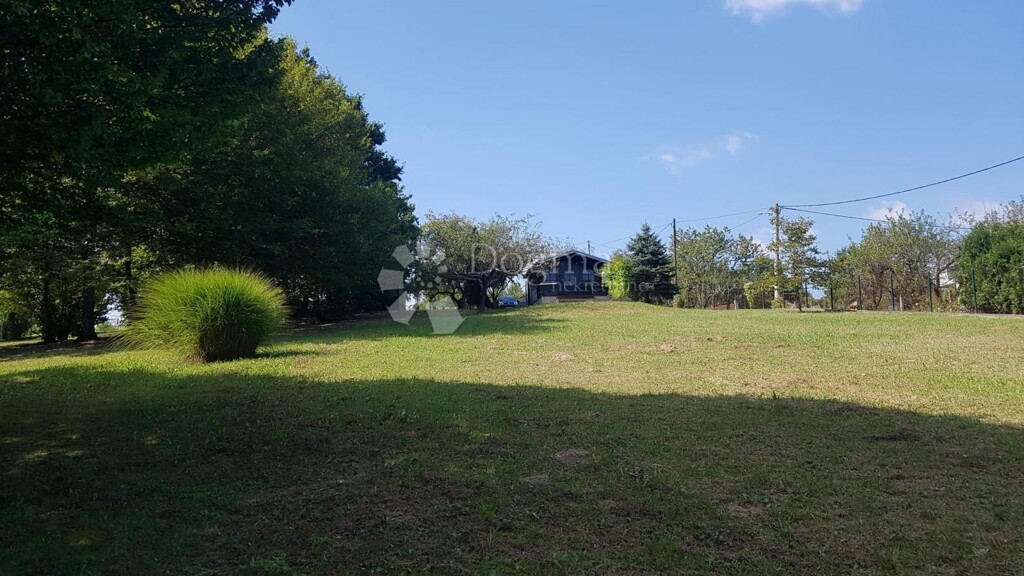 Image 13