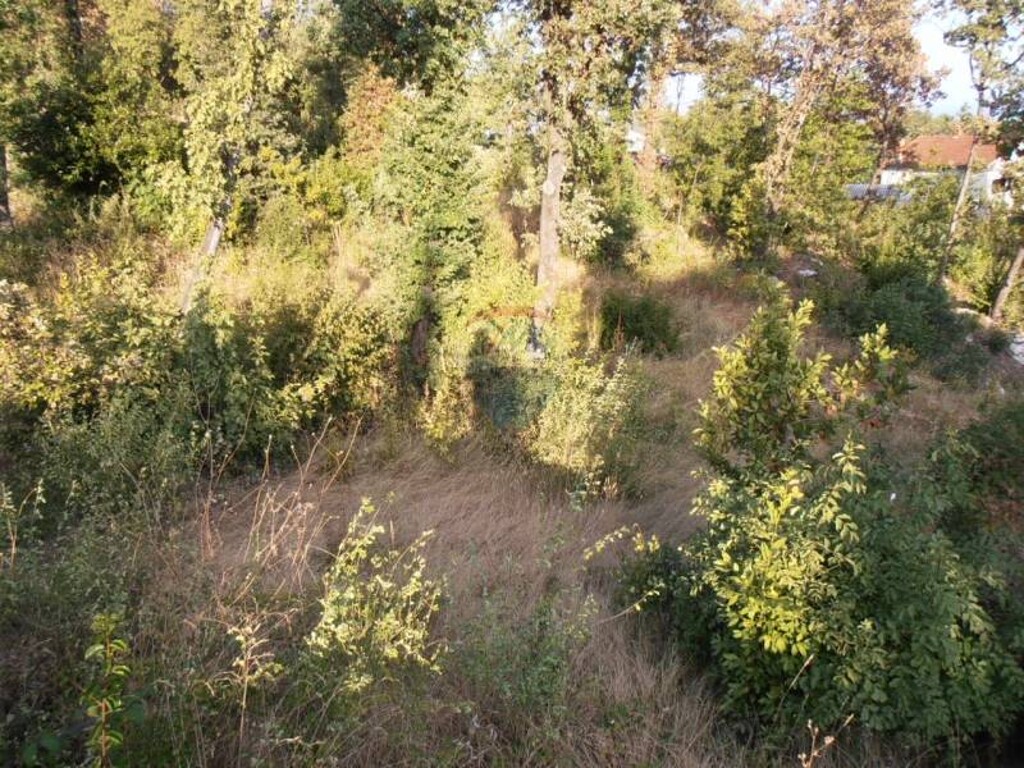 Image 5411291 - 4