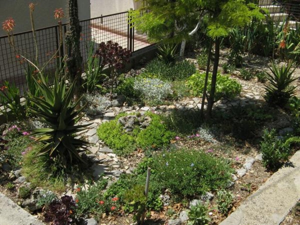Image 3838664 - 6