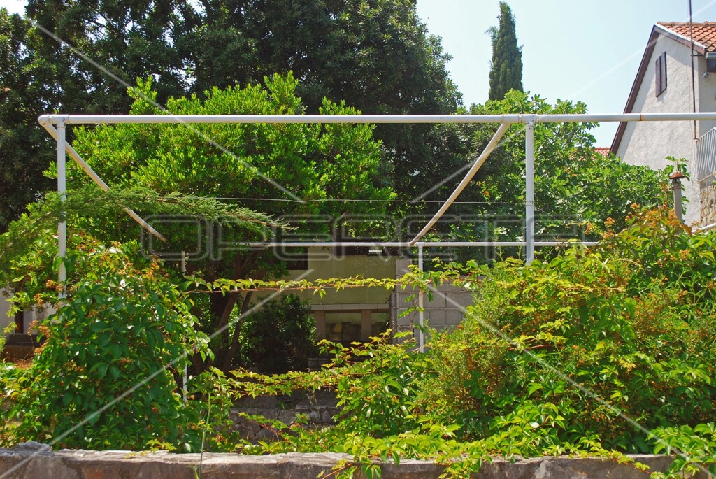 Image 19