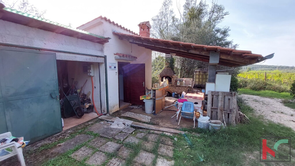 Image 12