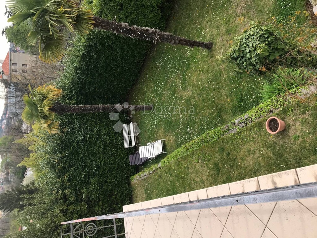 Image 13