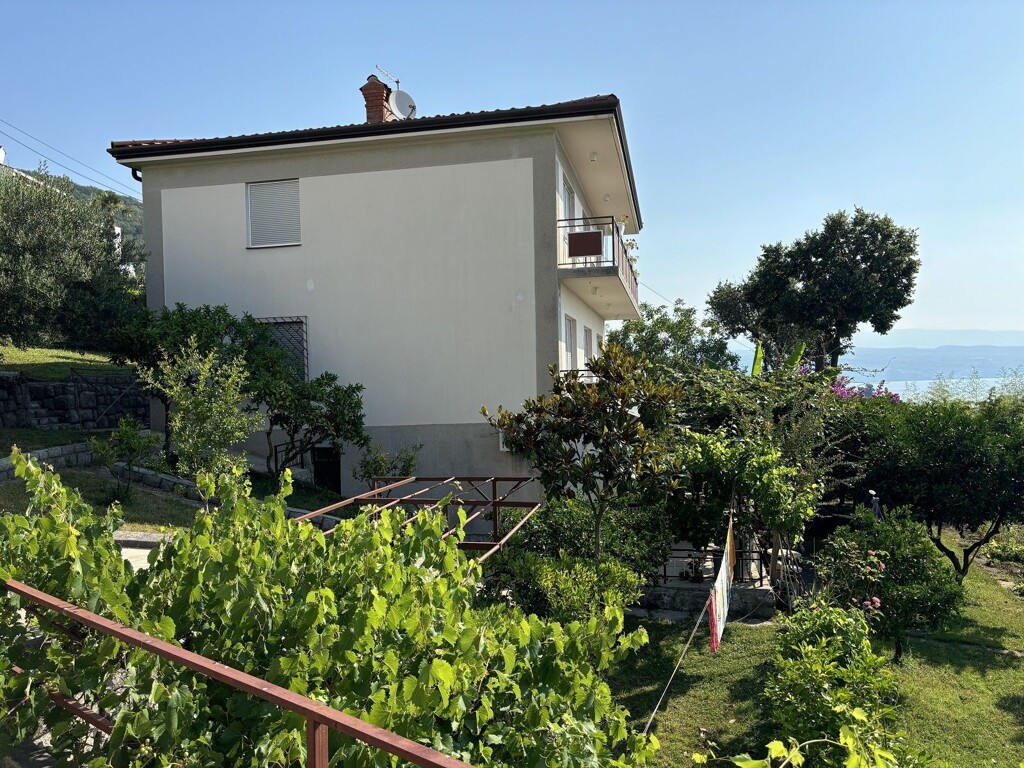 Image 20