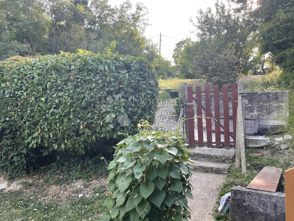 Image 9