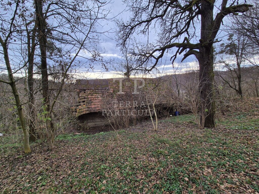 Image 14