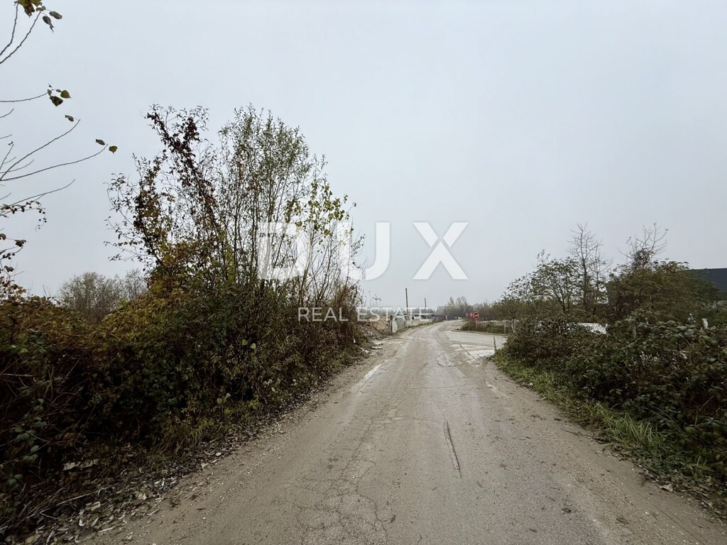 Image 8