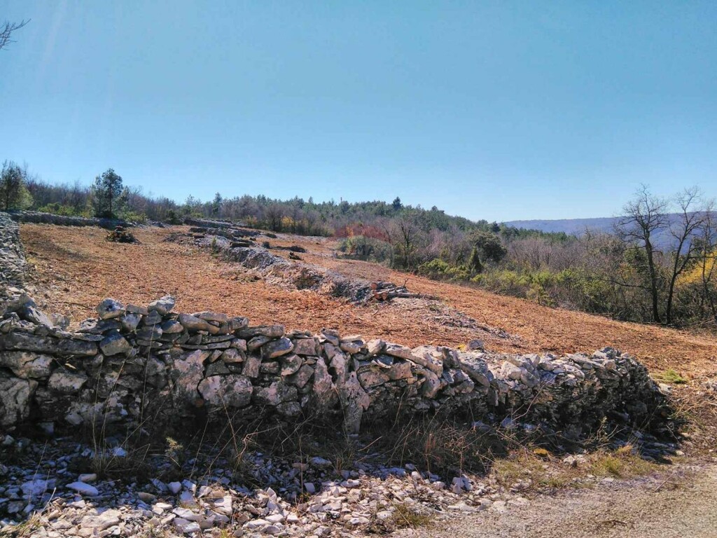 Image 5429521 - 3