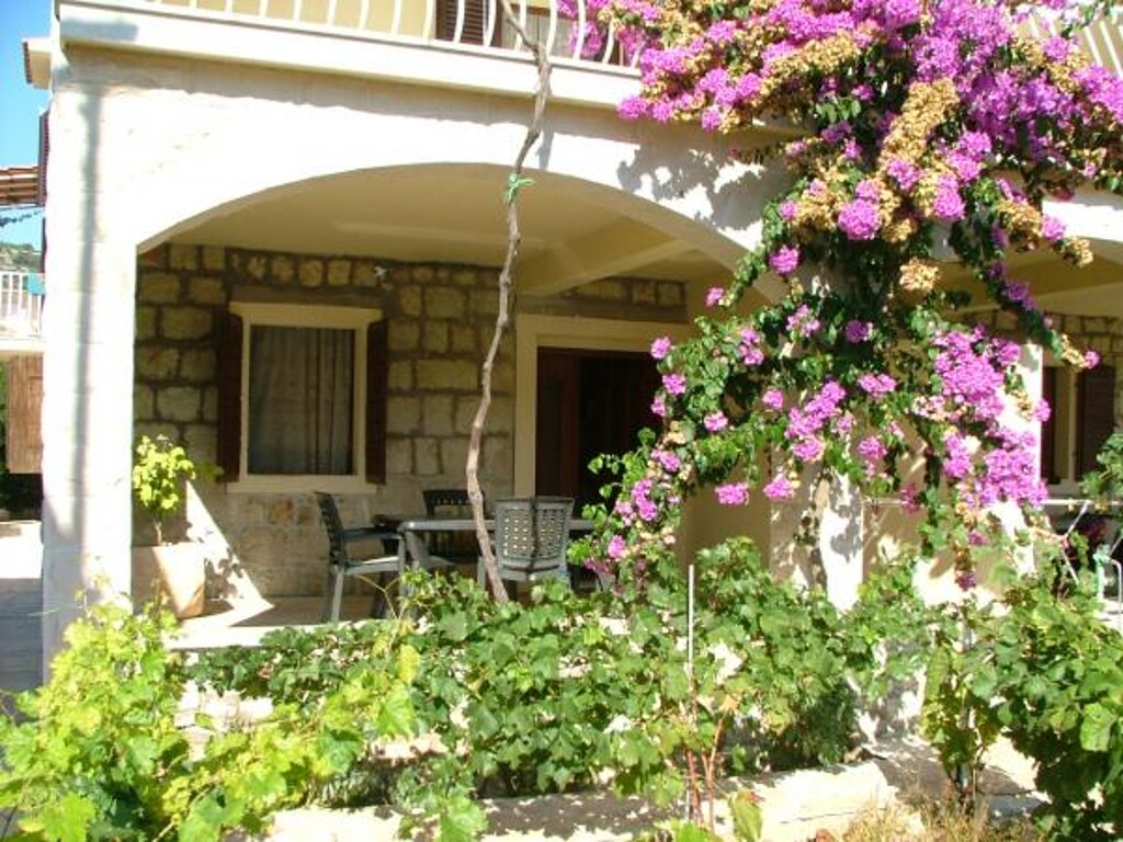 Image 3810643 - 2