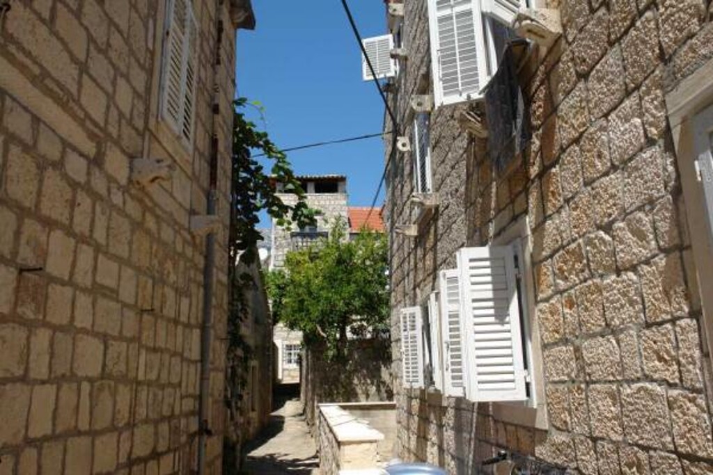 Image 3838989 - 5