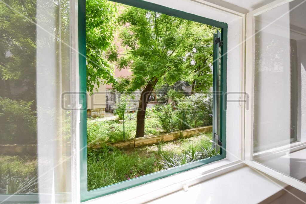 Image 15