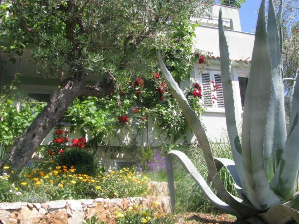 Image 3823112 - 10