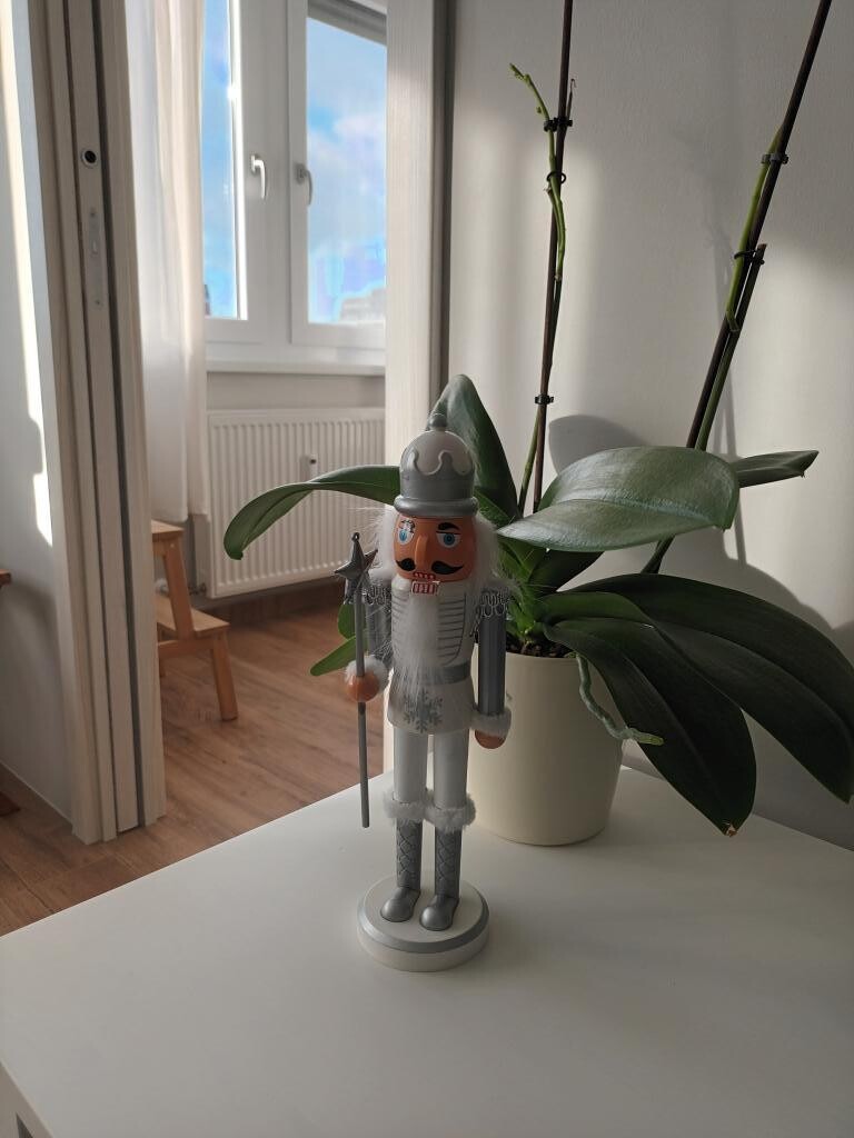 Image 29