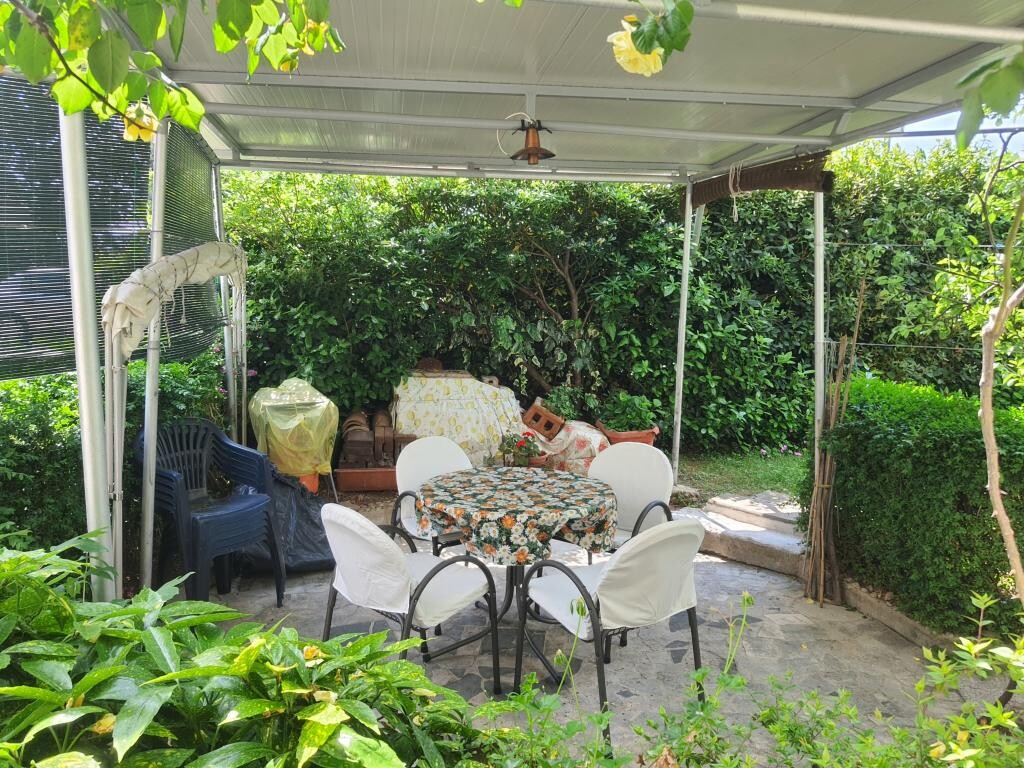 Image 3812556 - 4