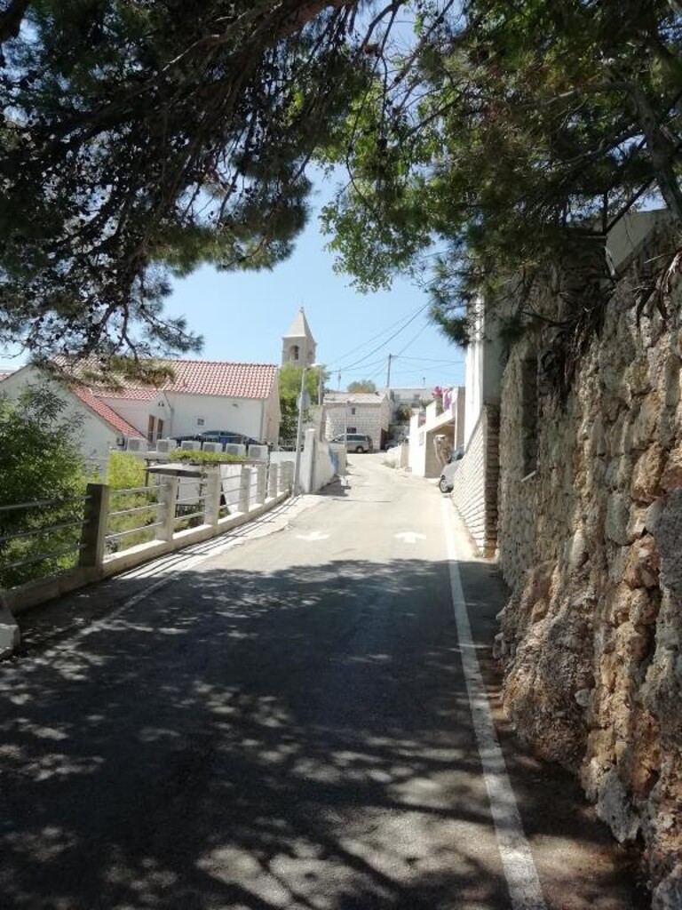 Image 19